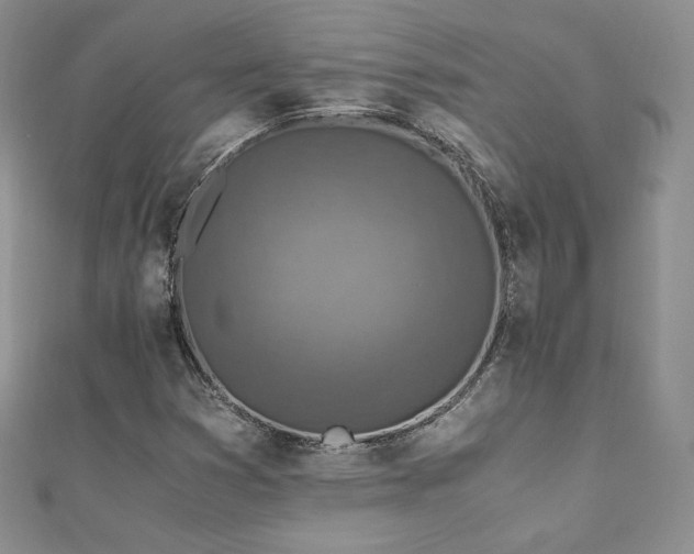 X0000110891353200906181237