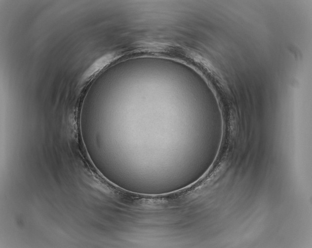 X0000110891354200906181237