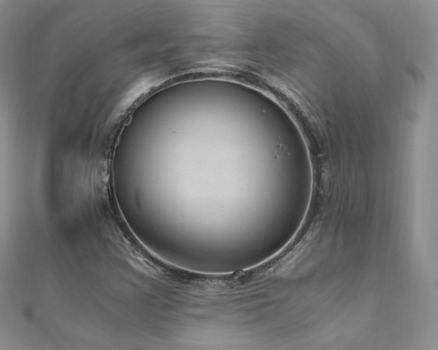 X0000110891355200906181237