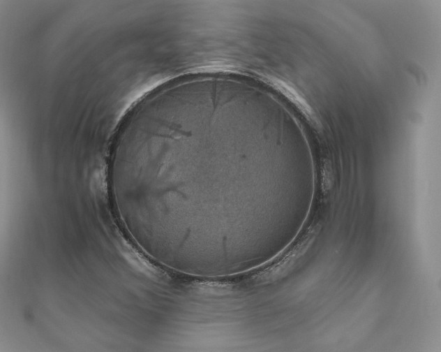 X0000110891356200906181237
