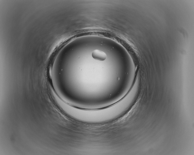 X0000110891357200906181237