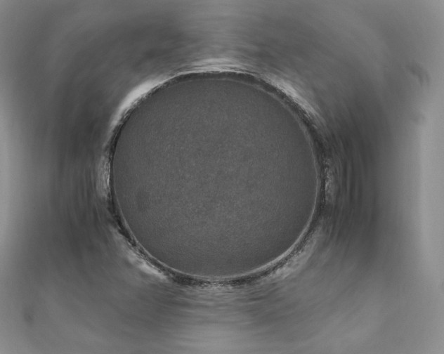 X0000110891358200906181237