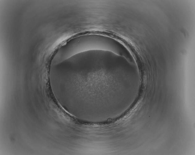 X0000110891359200906181237