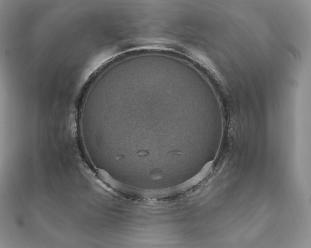 X0000110891360200906181237