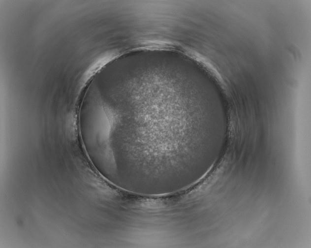 X0000110891362200906181237