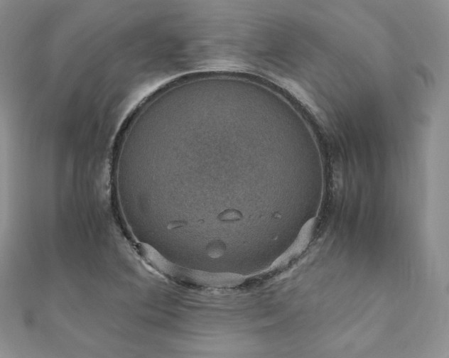 X0000110891364200906181237