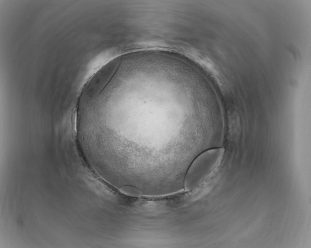 X0000110891365200906181237
