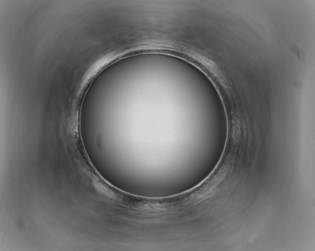 X0000110891366200906181237