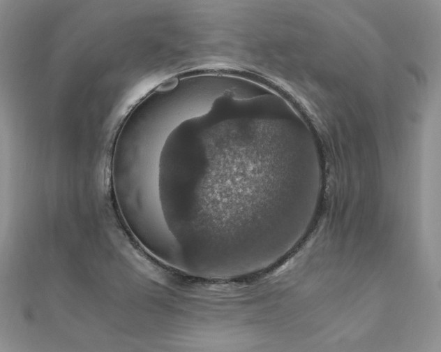 X0000110891367200906181237