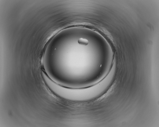 X0000110891369200906181237