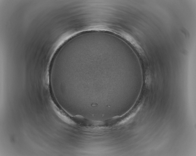 X0000110891372200906181237