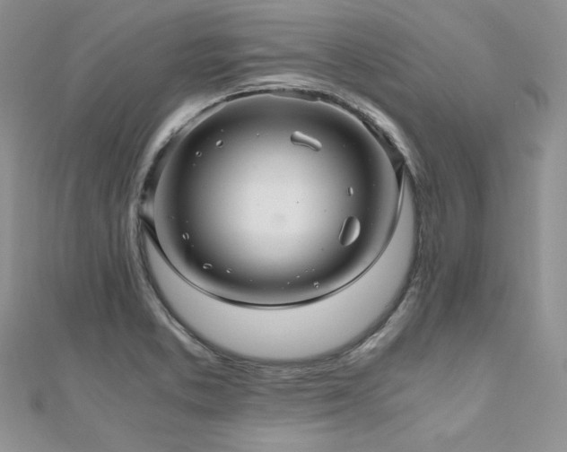 X0000110891373200906181237