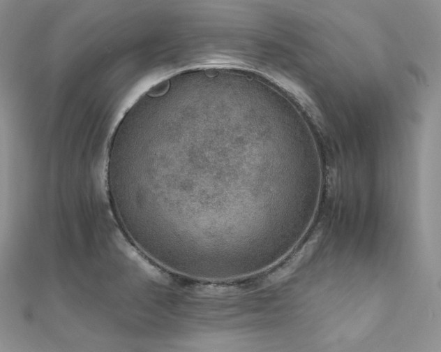 X0000110891374200906181237