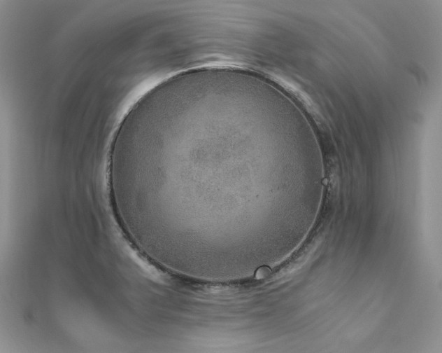 X0000110891375200906181237