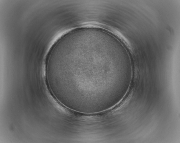X0000110891376200906181237
