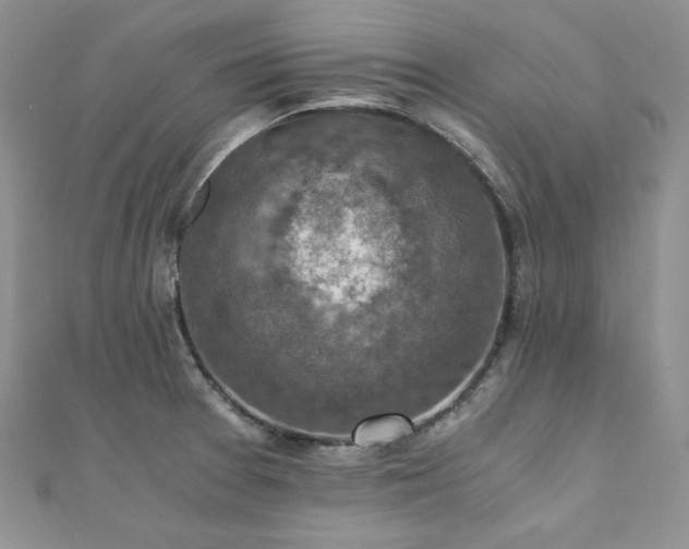 X0000110891377200906181237