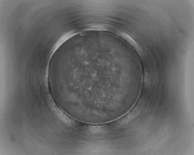 X0000110891378200906181237