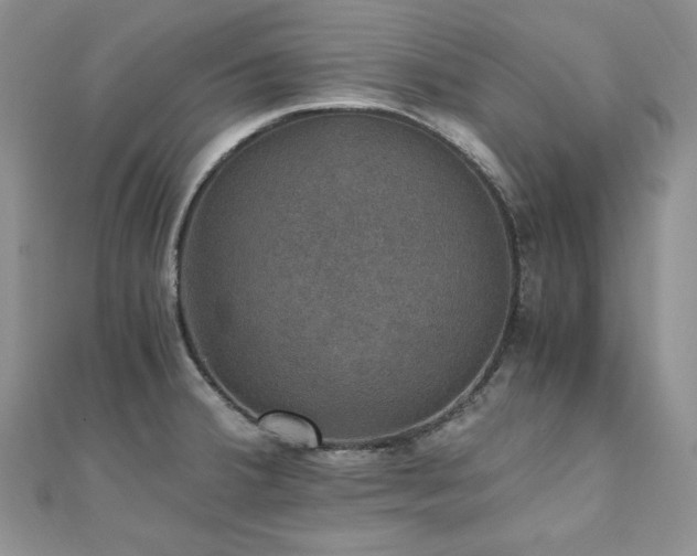 X0000110891380200906181237