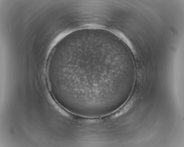 X0000110891381200906181237