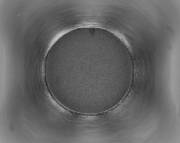 X0000110891382200906181237