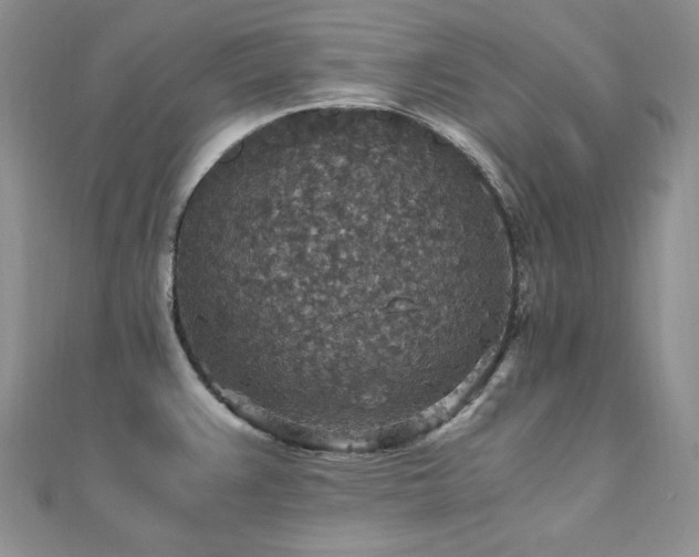 X0000110891383200906181237
