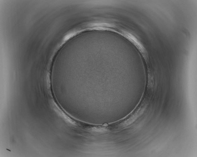 X0000110891384200906181237