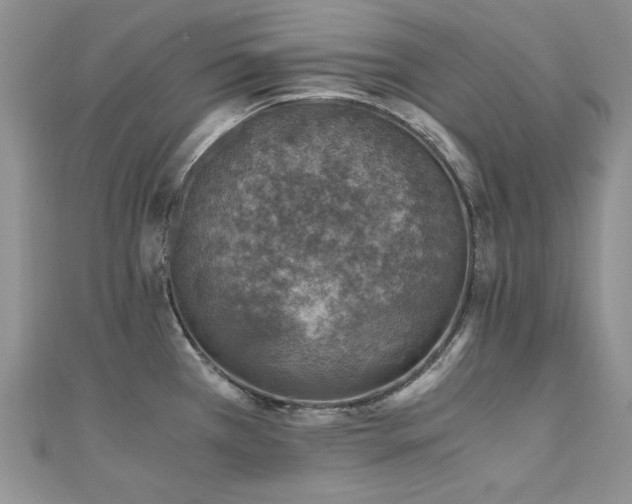 X0000110891385200906181237