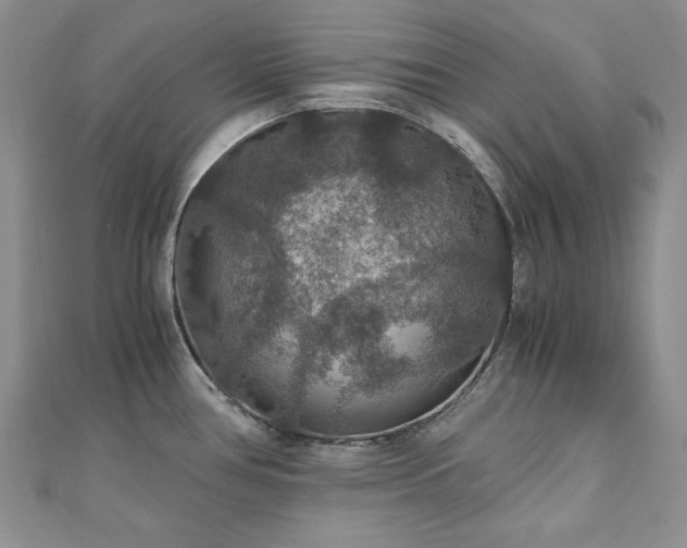 X0000110891386200906181237
