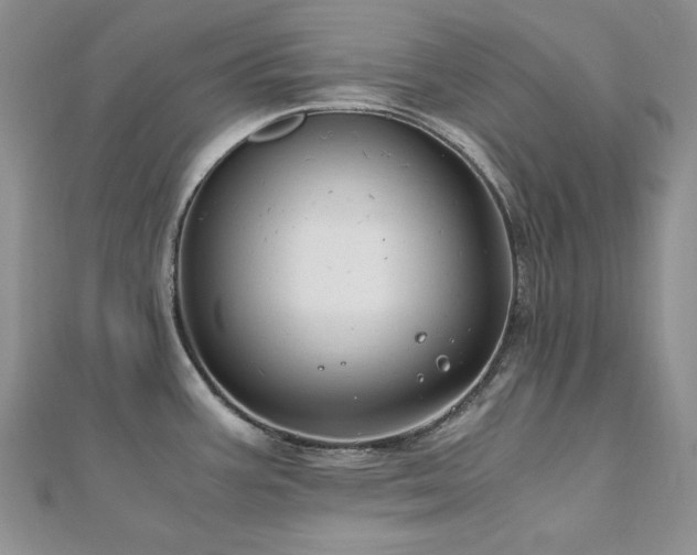 X0000110891387200906181237
