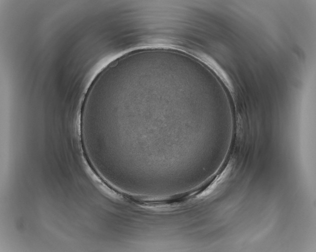 X0000110891388200906181237