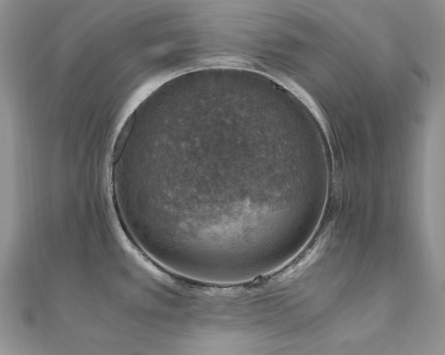 X0000110891389200906181237