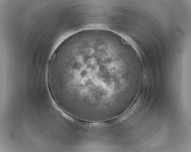 X0000110891390200906181237