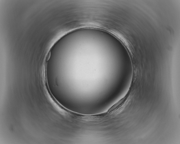 X0000110891391200906181237