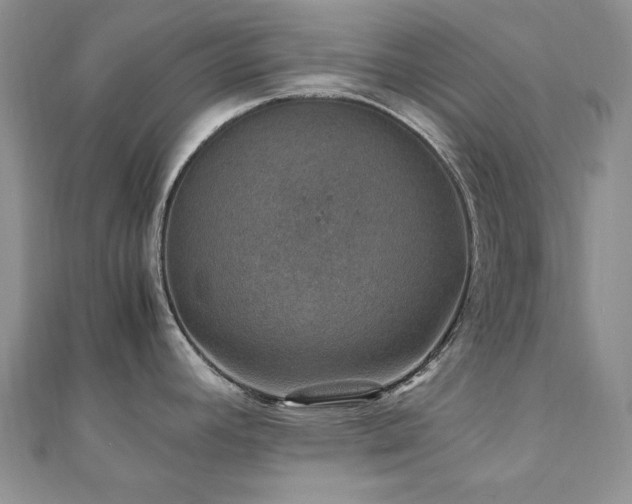 X0000110891392200906181237
