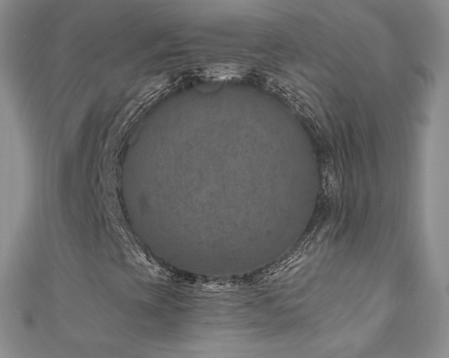 X0000110891393200906181236