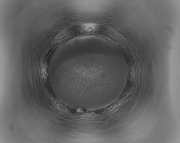 X0000110891394200906181236