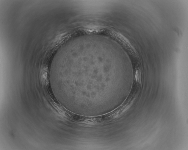 X0000110891396200906181236