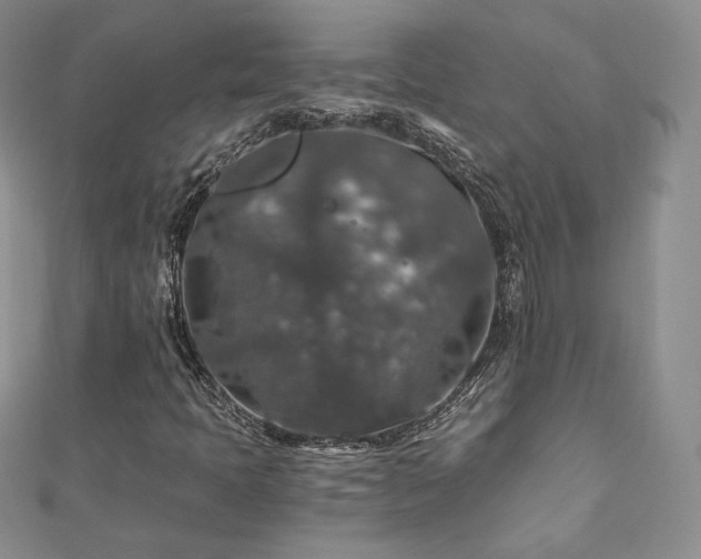 X0000110891397200906181236