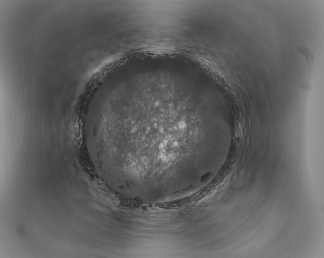 X0000110891398200906181236