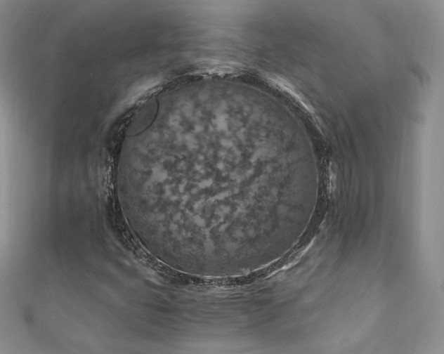 X0000110891399200906181236