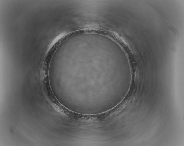 X0000110891400200906181236