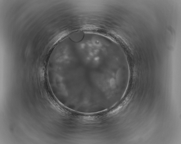 X0000110891401200906181236