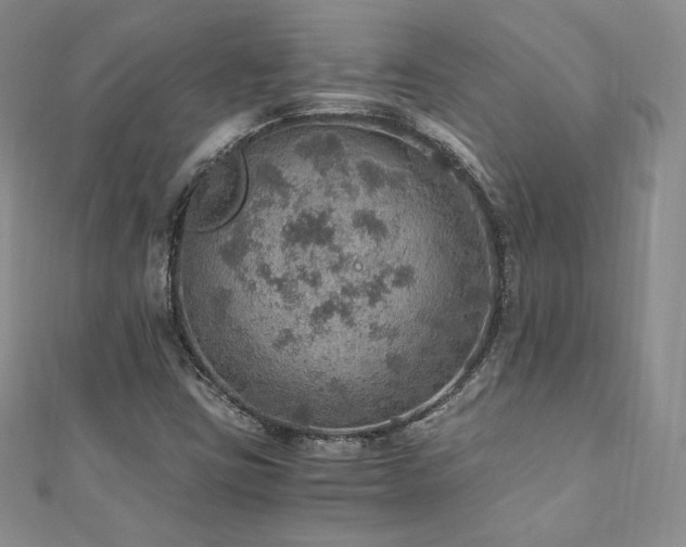 X0000110891403200906181236