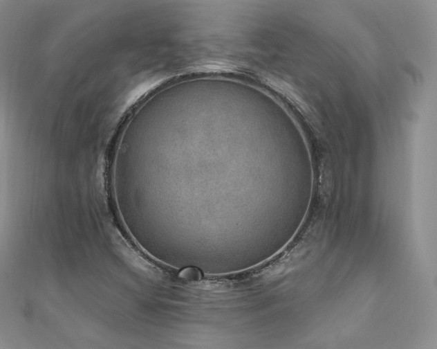 X0000110891404200906181236