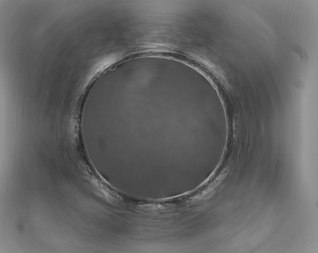 X0000110891405200906181236