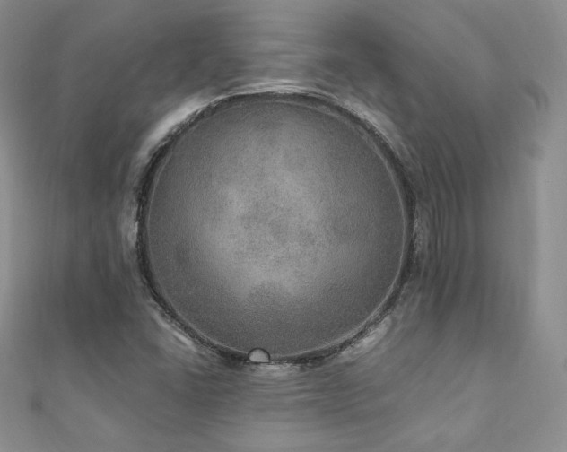 X0000110891406200906181236