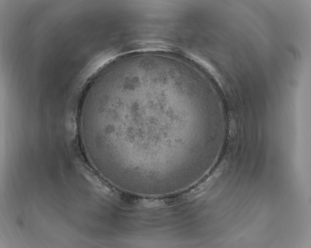 X0000110891407200906181236