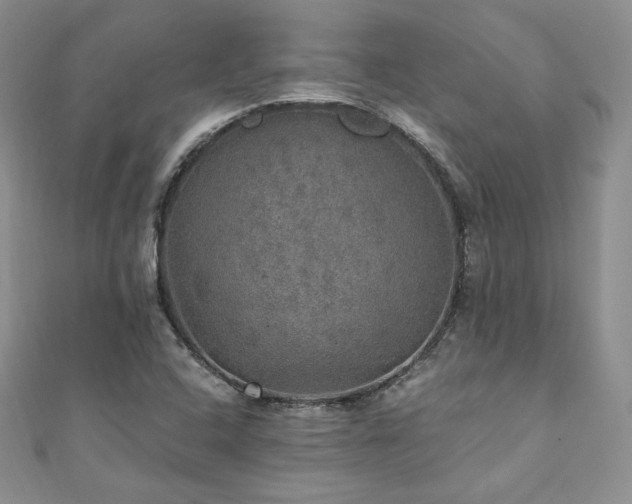 X0000110891408200906181236