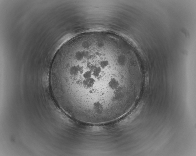 X0000110891409200906181236