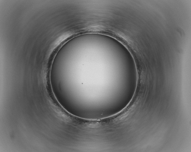 X0000110891410200906181236